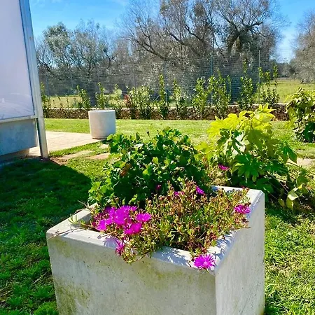 Michelangelo 4* Vernole