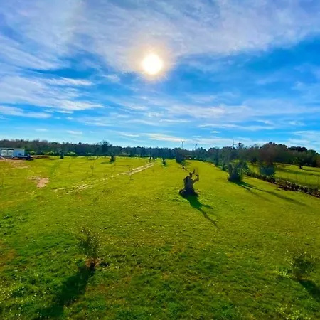 Michelangelo Couette-café